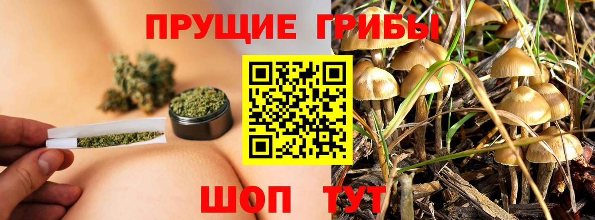 Псилоцибиновые грибы ЛСД Саяногорск