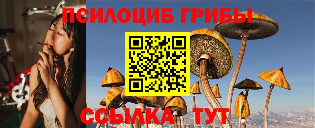 Галлюциногенные грибы Psilocybine cubensis  Вход с VPN  Псилоцибиновые грибы Psilocybine cubensis  Саяногорск 